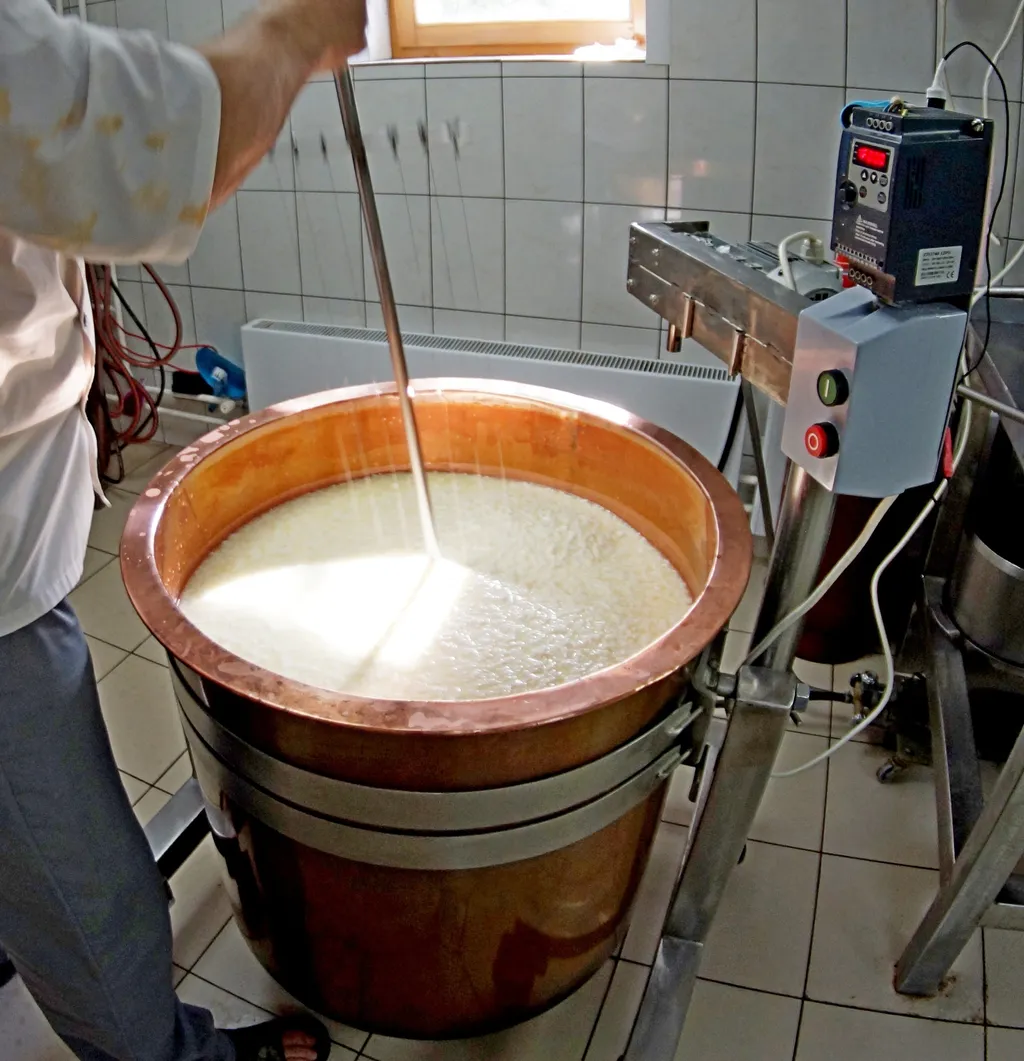медный чан для сыра 165 литров в Златоусте