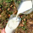 На поддержку молочного животноводства в Челябинской области направлены дополнительные средства - Минсельхоз