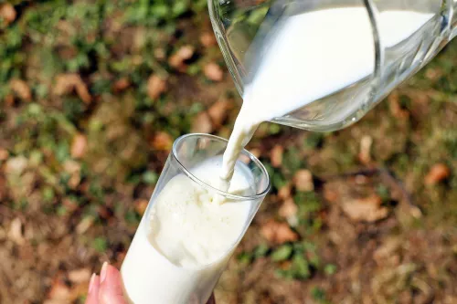 Алексей Кобылин: В Челябинской области изменят объемы упаковок молока