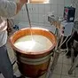 медный чан для сыра 165 литров в Златоусте